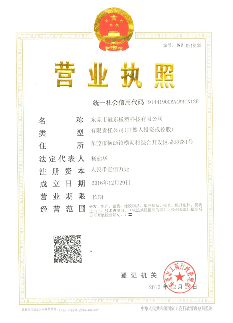 Guandong Business License